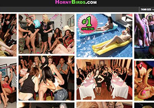 Nice adult website offering hot party HD videos