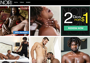 NoirMale is a top gay porn website with interracial content.