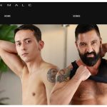 Best paid adult website for gay sex material